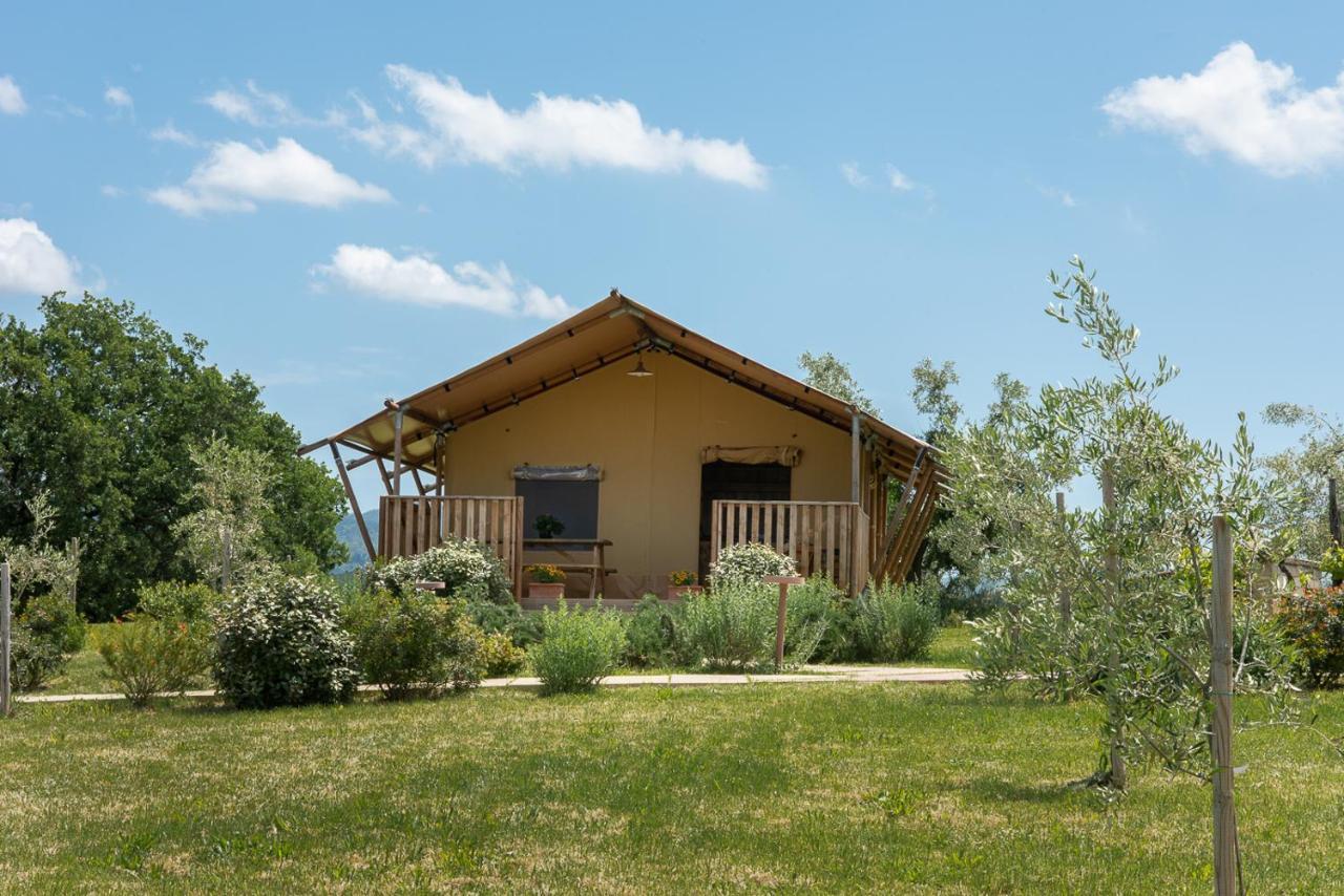 Agriturismo L'Antica Fornace Peccioli Eksteriør bilde