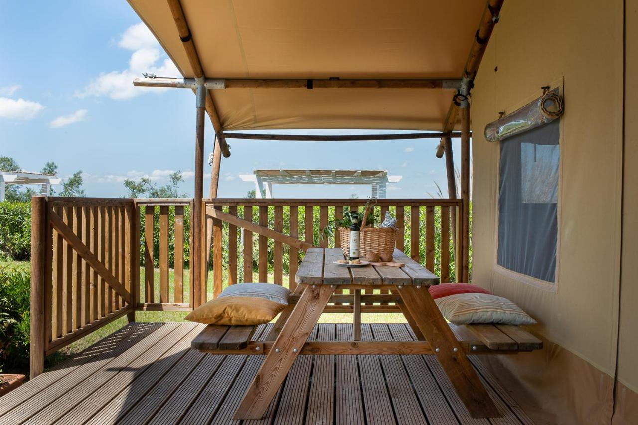 Agriturismo L'Antica Fornace Peccioli Eksteriør bilde